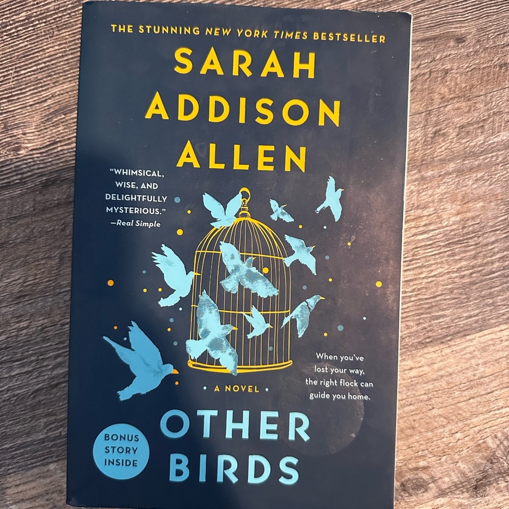 Sarah Addison Allen book: other birds